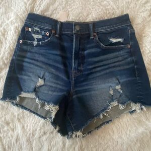 AE Mom Short size 8 (NWT)